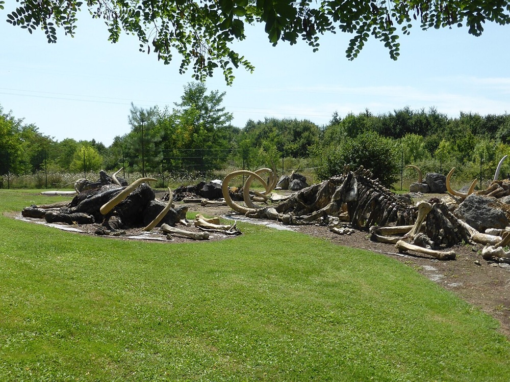 Cimetière de mammouths au Paléosite de Saint-Césaire
