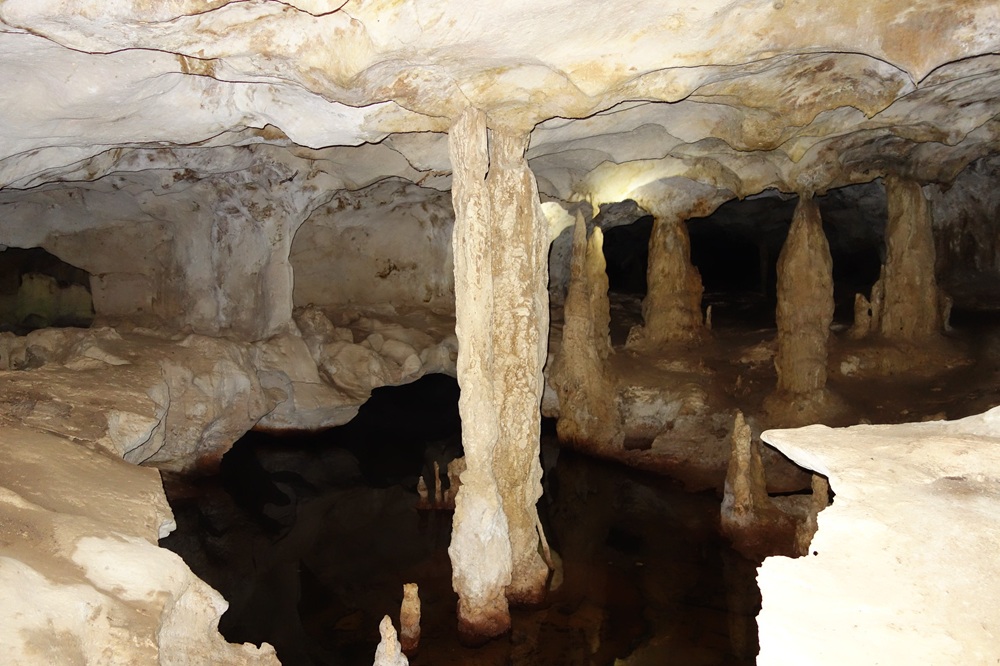 Conch Bar Caves, îles Turks et Caïques