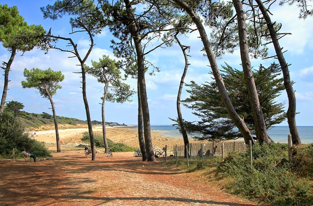 GR 8, Jard-sur-Mer