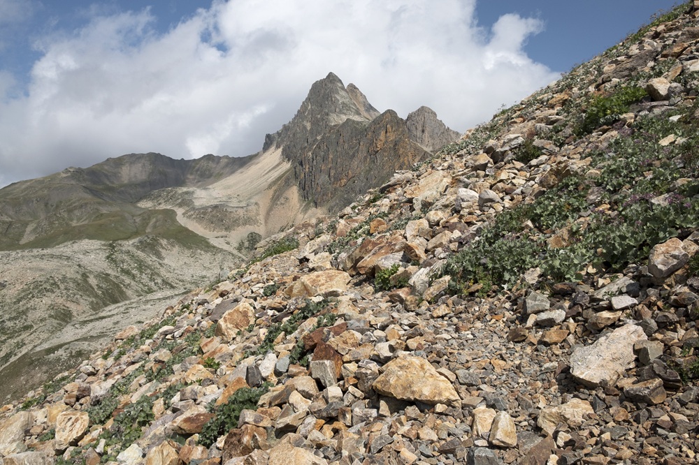 La vallée de la Clarée, Briançon