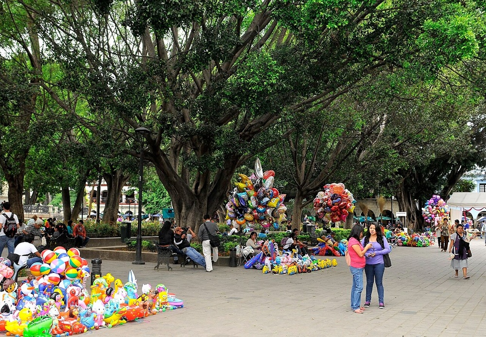 Le Zócalo, Oaxaca de Juárez