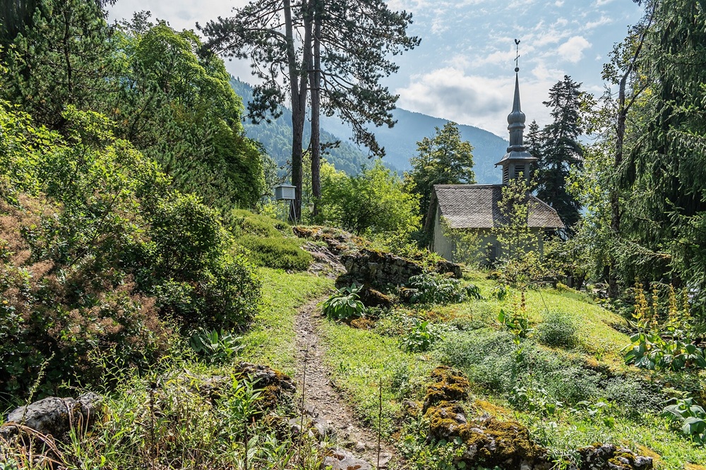 Le jardin de la Jaÿsinia, Samoëns