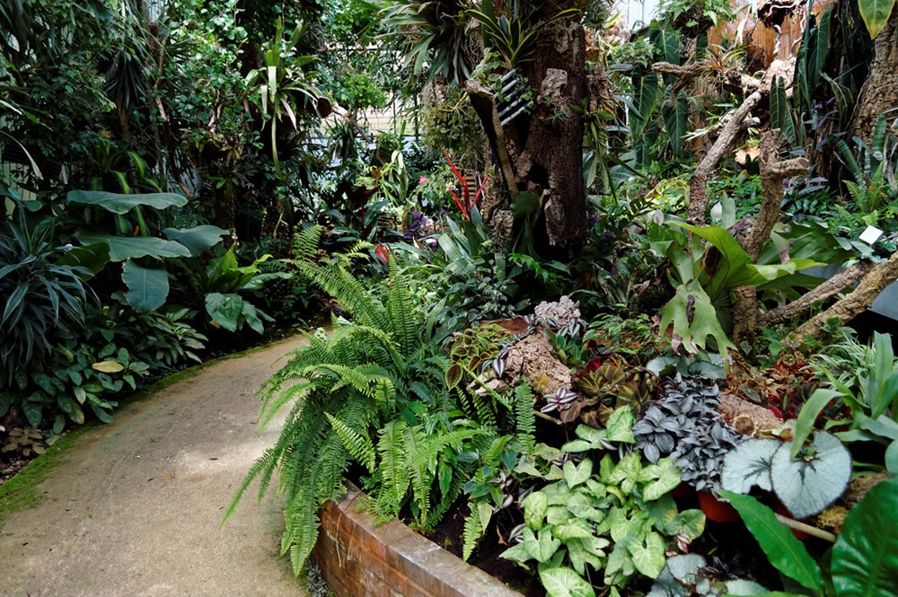 Le parc du Moulin à Tan, Sens