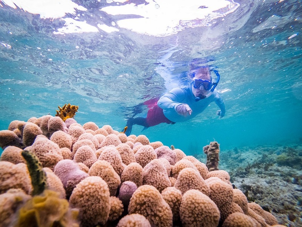 Smith’s Reef, îles Turks et Caïques