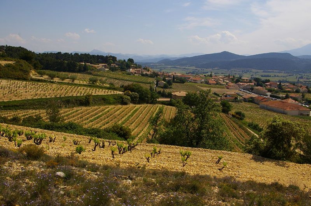 Vignobles à Rasteau