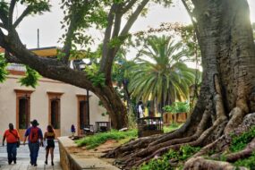 Visiter Oaxaca de Juárez, Mexique