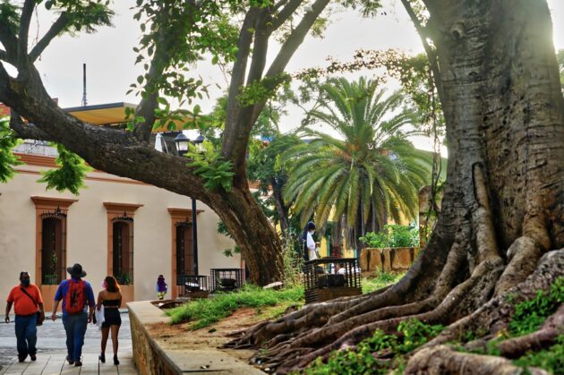 Visiter Oaxaca de Juárez, Mexique