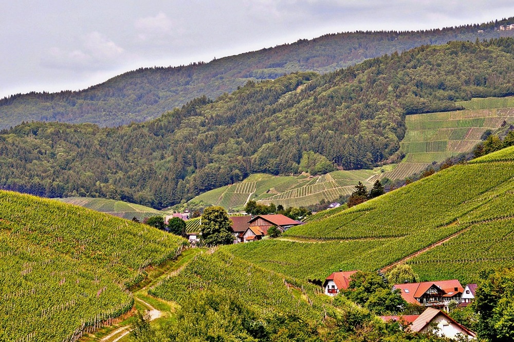 Waldulm, Forêt Noire