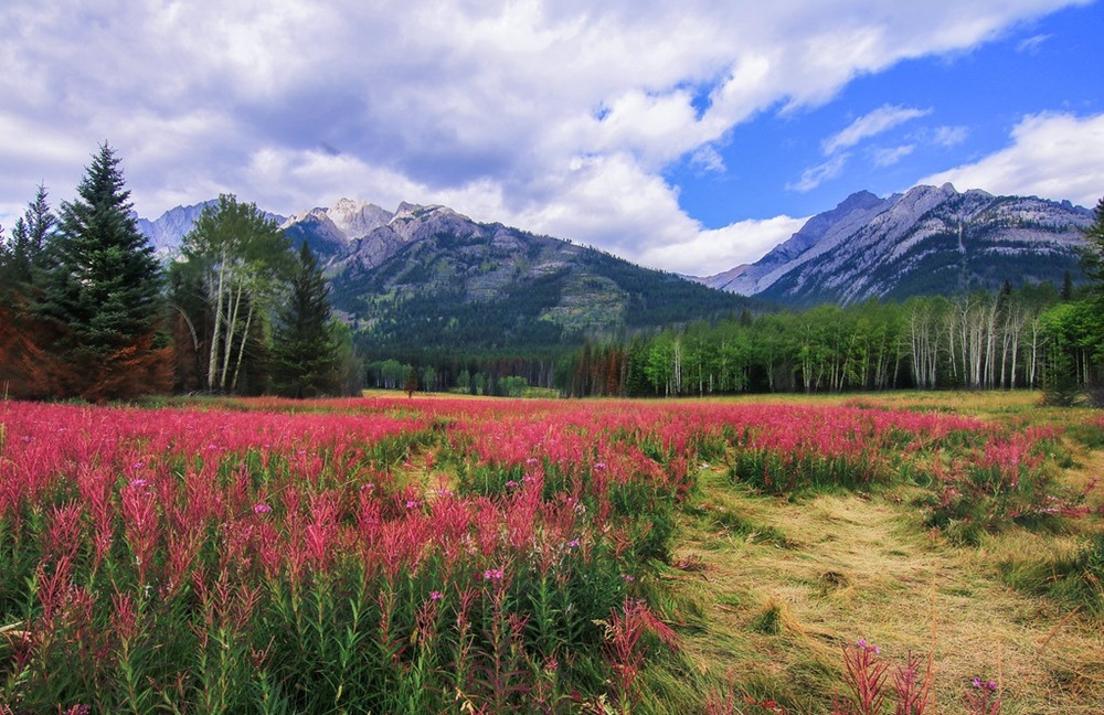 Bow Valley Parkway, Parc national Banff