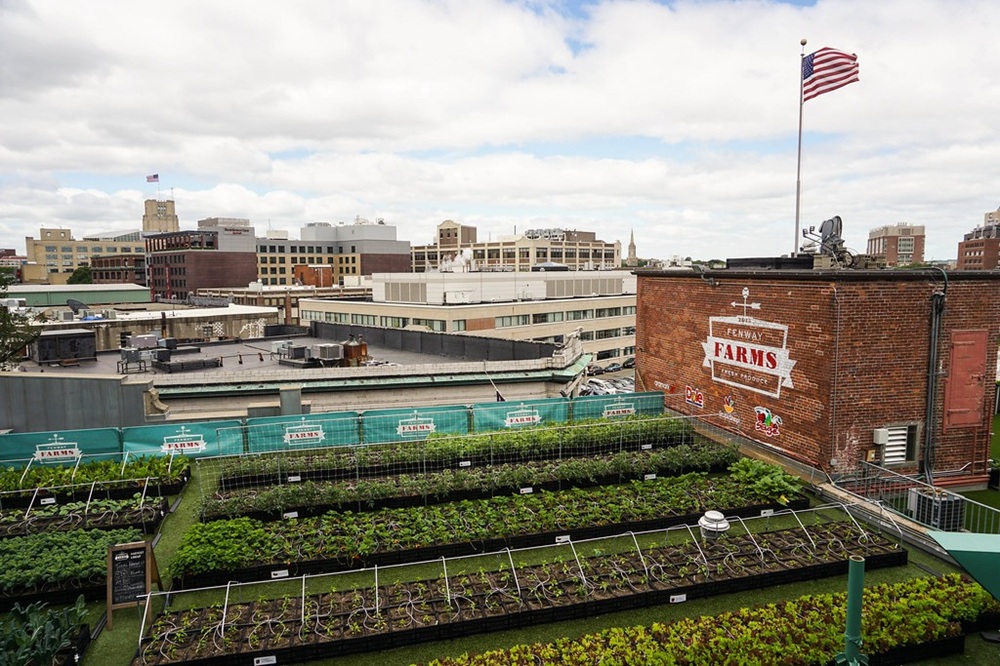 Fenway, Boston