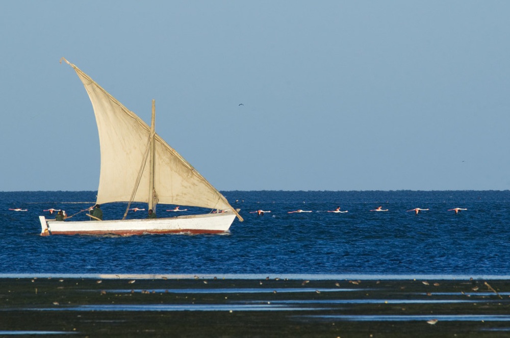 Le Parc national du Banc d’Arguin, Mauritanie