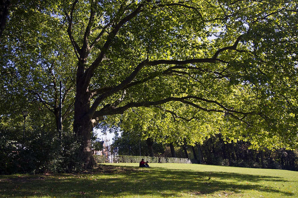 Le parc Josaphat, Bruxelles
