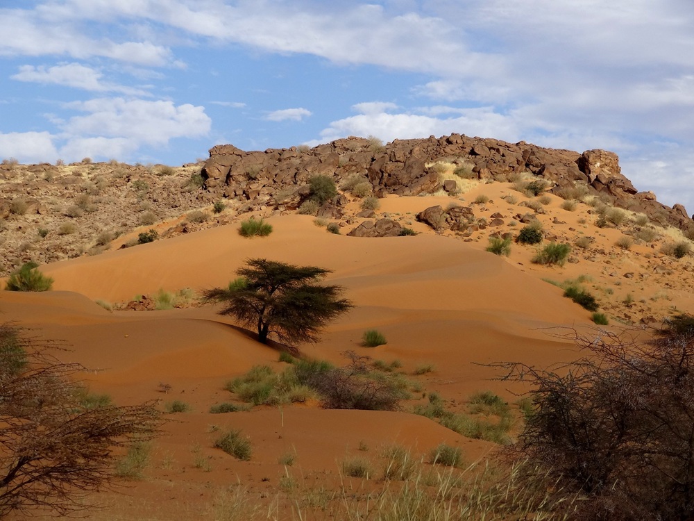 Le plateau de Tagant, Mauritanie