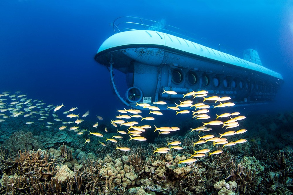 Le sous-marin Atlantis, Cozumel