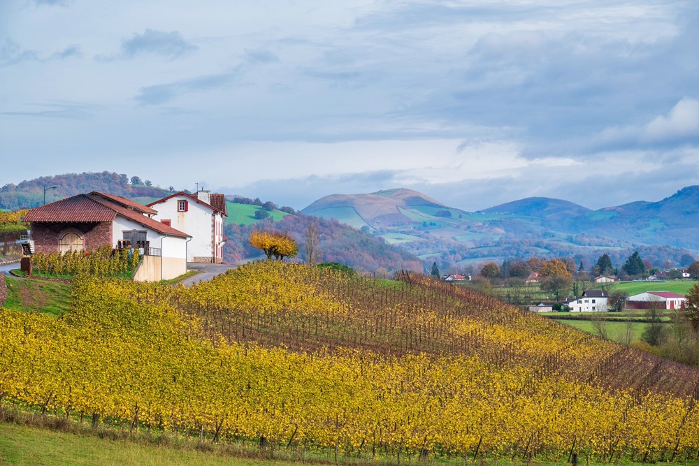 Le vignoble d’Irouléguy, Saint-Jean-Pied-de-Port