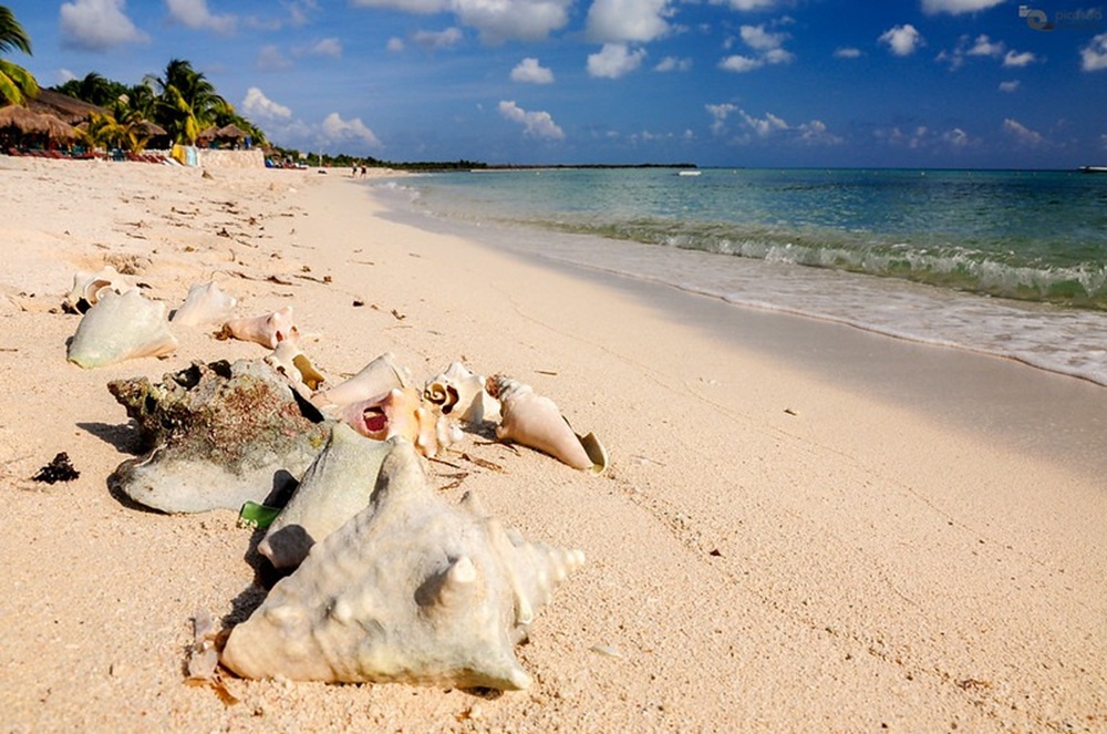 Playa Palancar, Cozumel