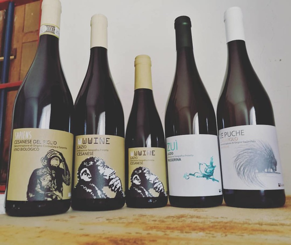 Vins Cesanese