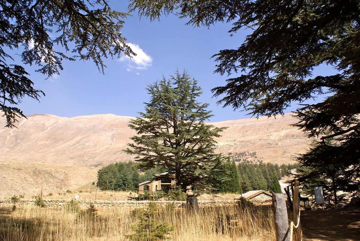 Visiter le Liban