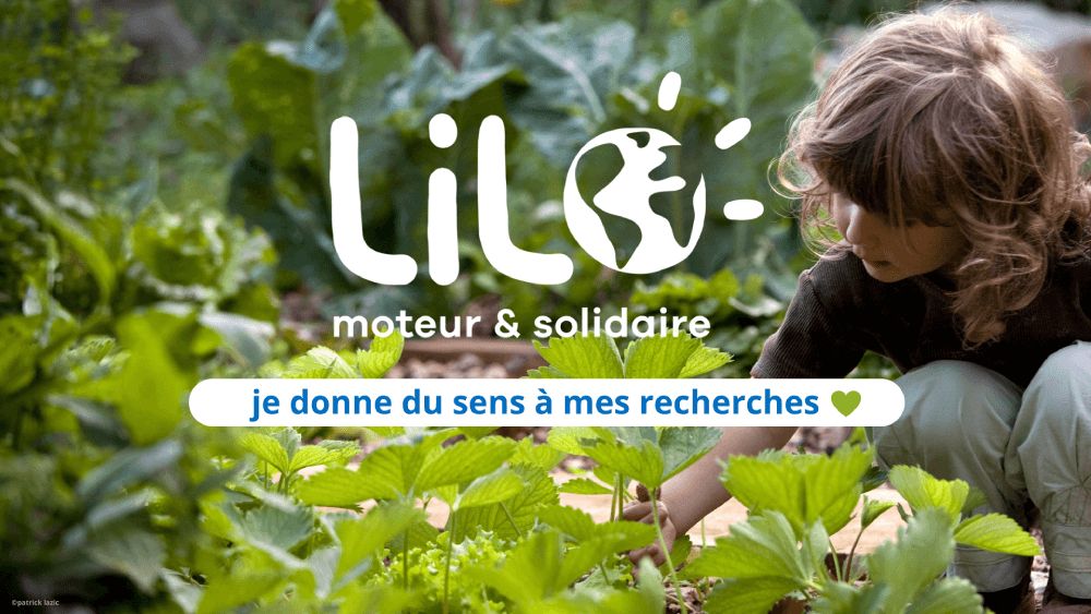 Lilo Moteur de recherche