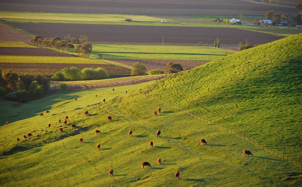 Barossa Valley, Australie-Méridionale