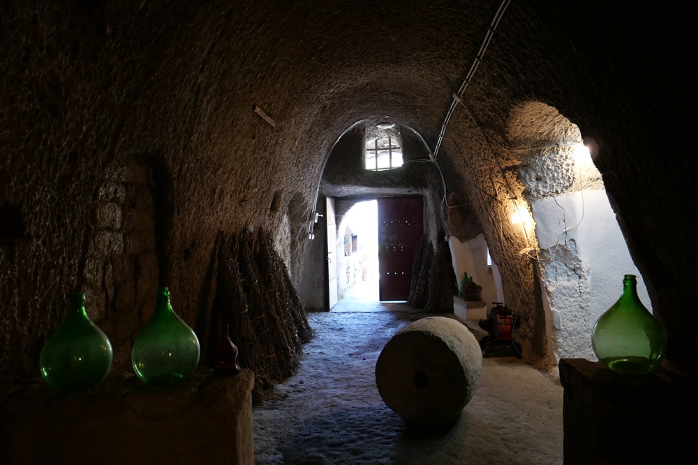 Dégustation de vins locaux dans une cave, Ischia