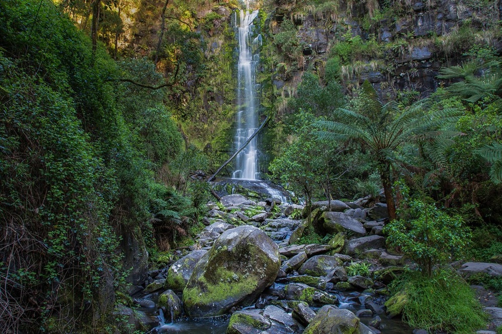 Erskine Falls près de Lorne, Great Ocean Road