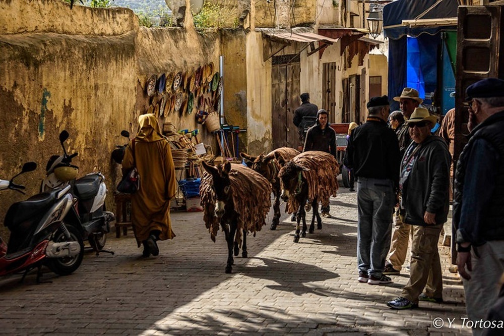 Rue ombragée, Fès el-Bali
