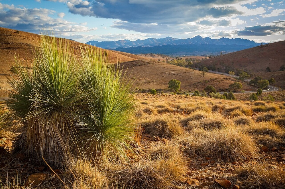 Flinders Ranges, Australie-Méridionale