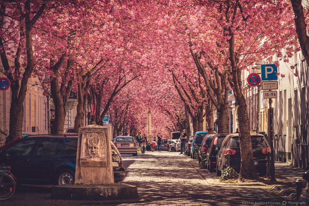 Heerstraße à Bonn, Rhénanie-du-Nord-Westphalie