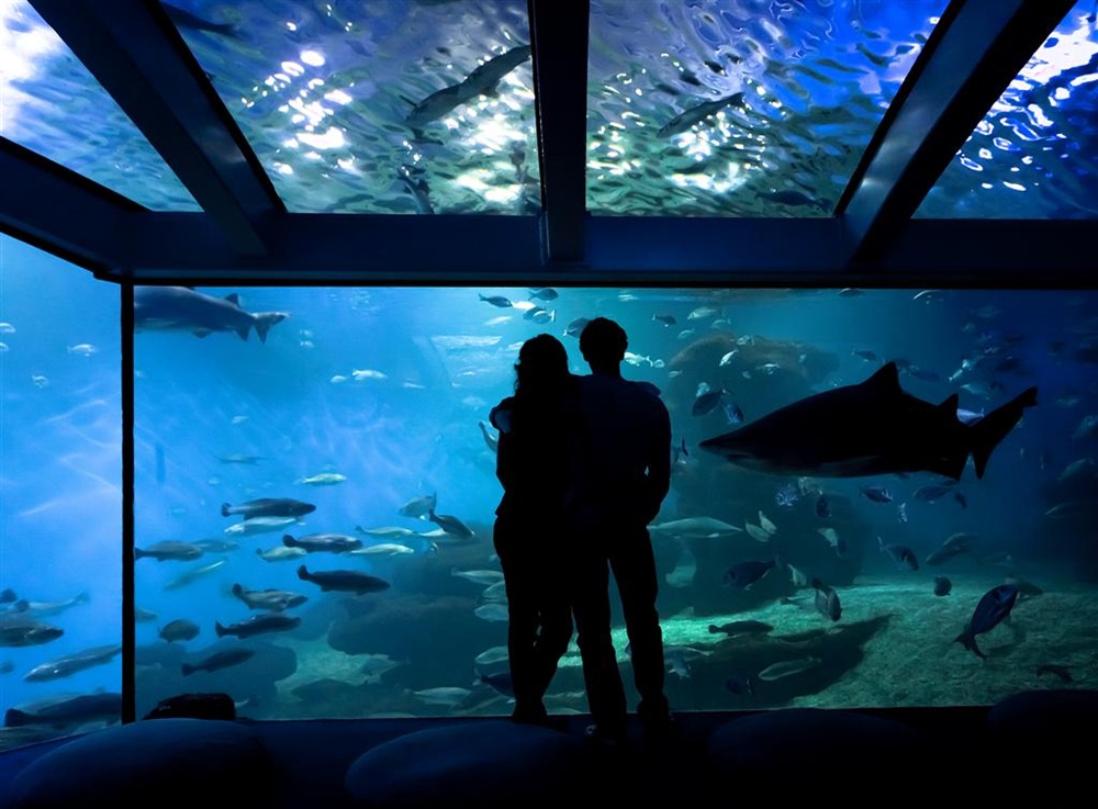 L'Aquarium de Palma