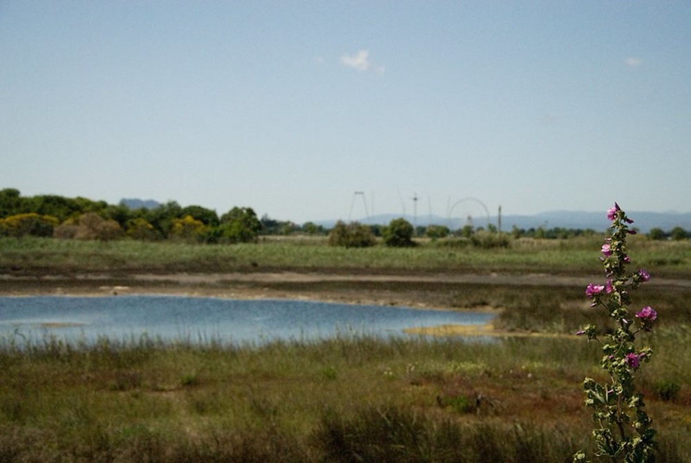 La Base Nature François-Léotard, Fréjus