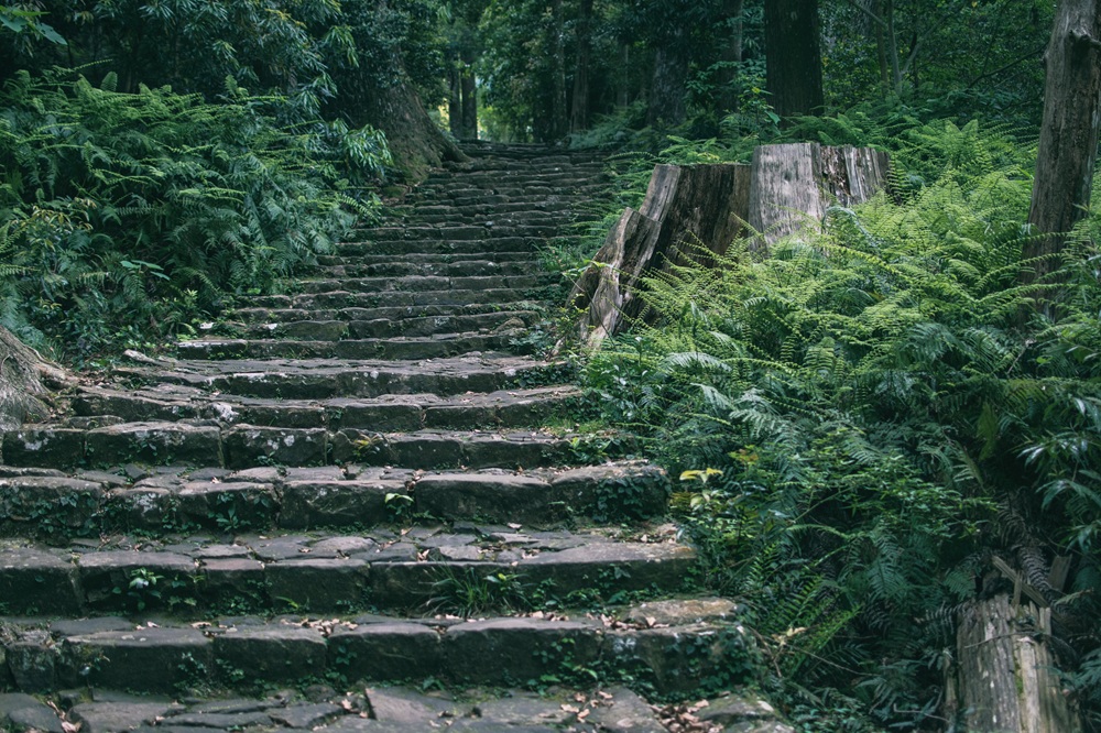 La montée de Daimon-zaka, parc de Yoshino-Kumano