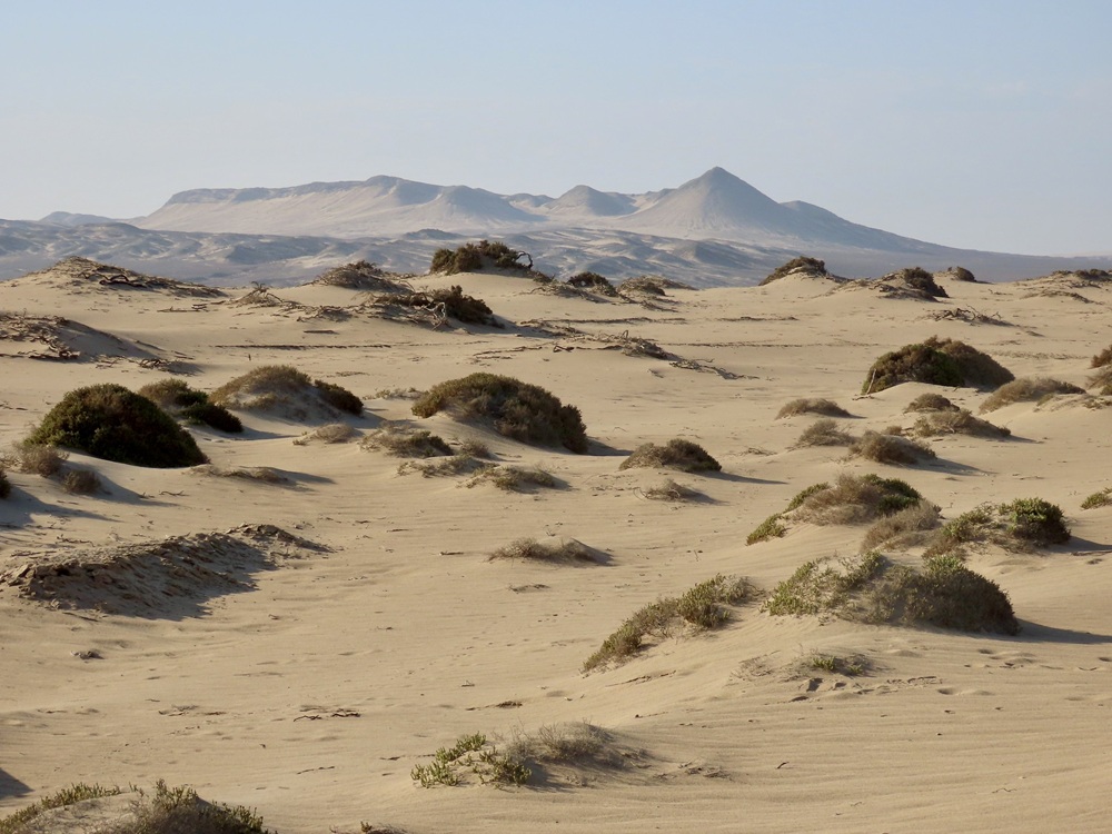 La partie nord de la Skeleton Coast