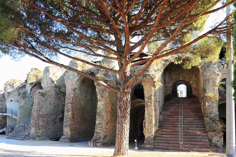 L'amphithéâtre romain, Fréjus