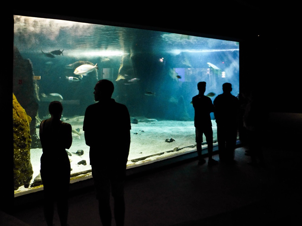 L'aquarium de Lanzarote