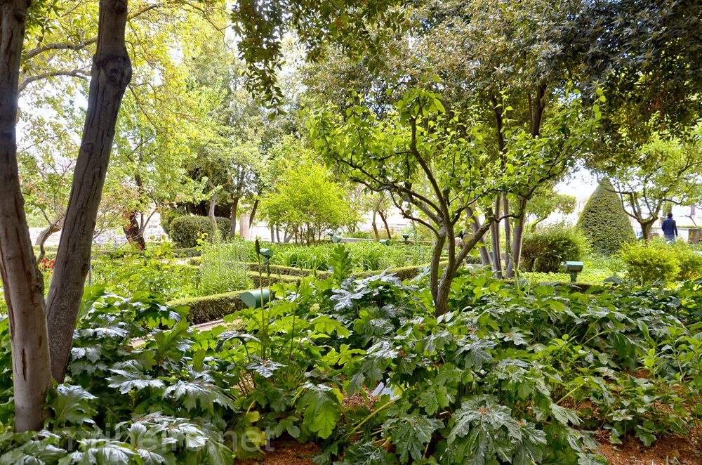 Le Huerto de Calixto y Melibea, Salamanque