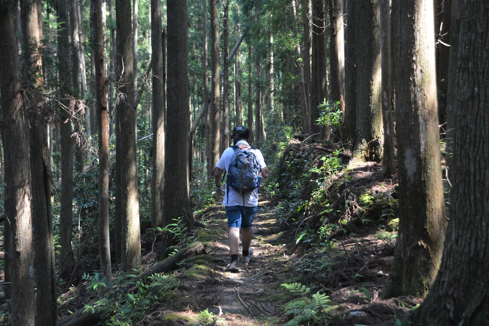 Le Kumano Kodo, parc de Yoshino-Kumano