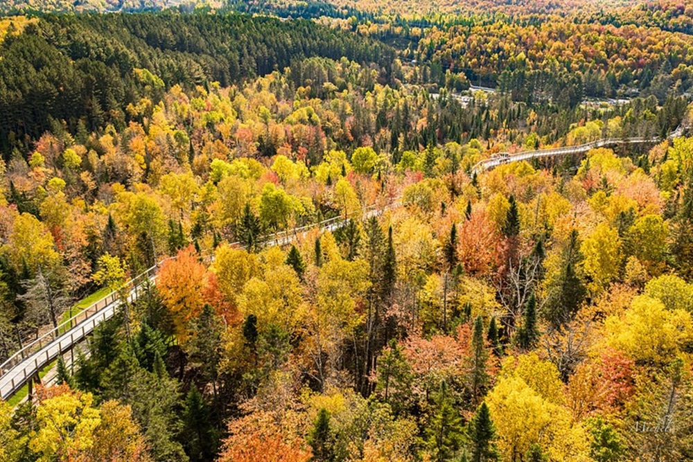 Le Sentier des cimes Laurentides