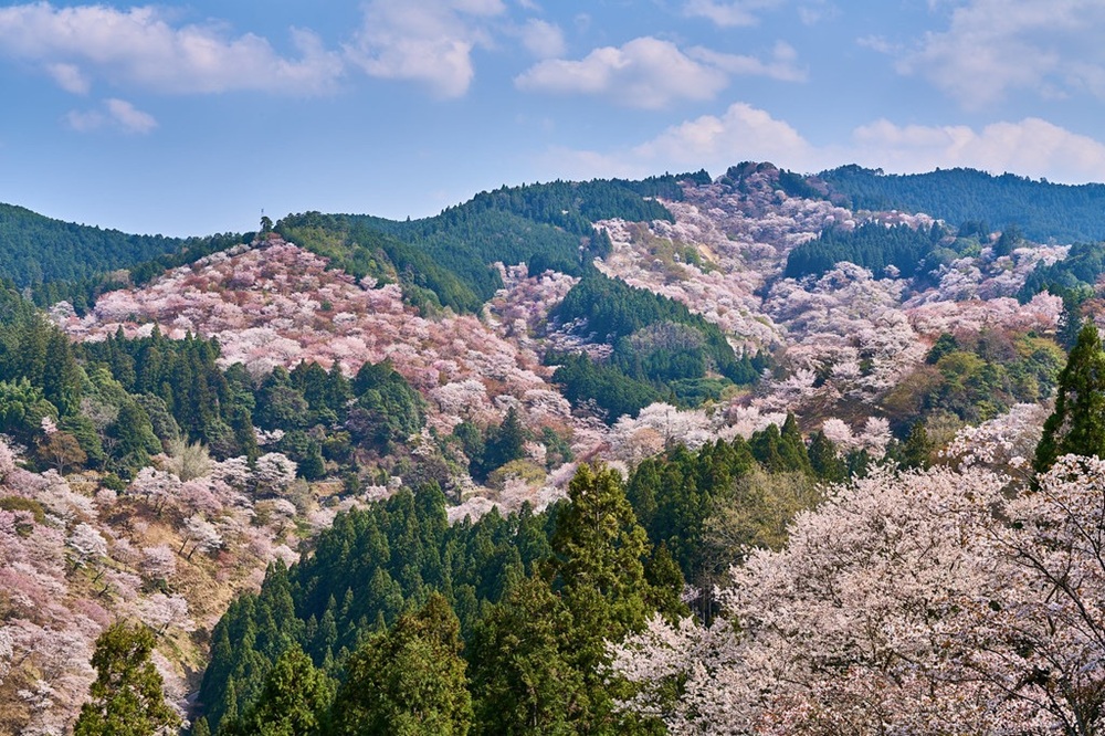 Le mont Yoshino, parc de Yoshino-Kumano