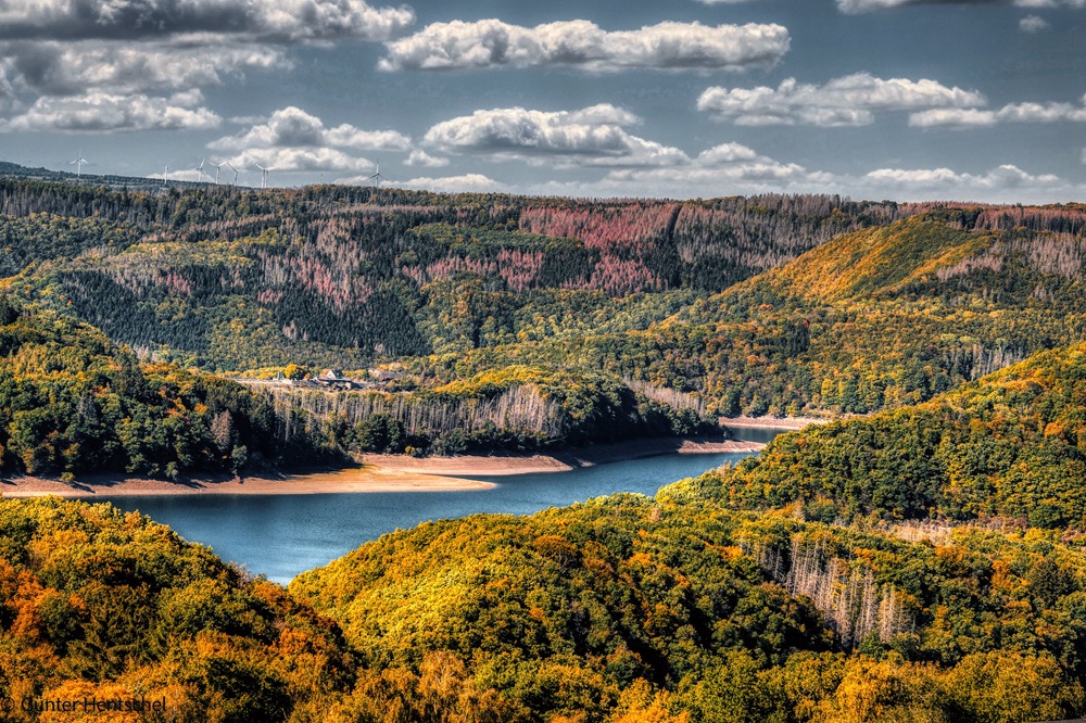 Le parc national de l'Eifel, Rhénanie-du-Nord-Westphalie
