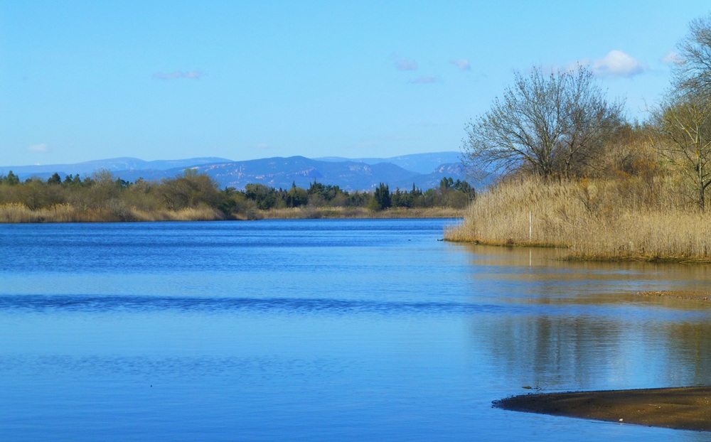 Les étangs de Villepey, Fréjus