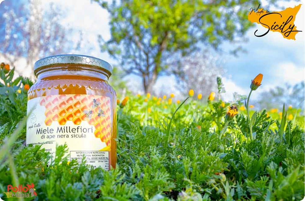 Miel de l'abeille noire sicilienne
