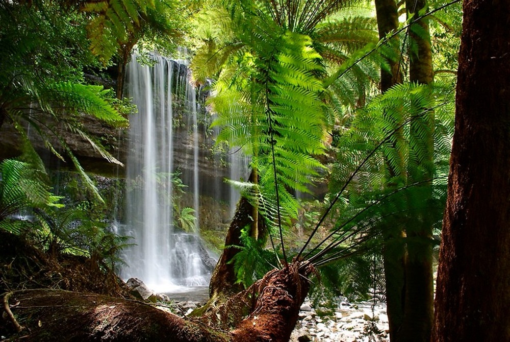 Mount Field, Tasmanie