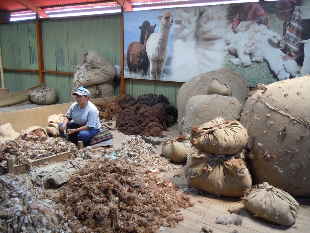 Mundo Alpaca, Arequipa