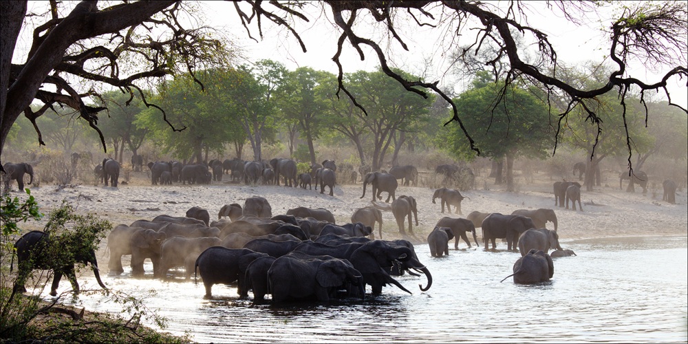 Parc national de Bwabwata, bande de Caprivi