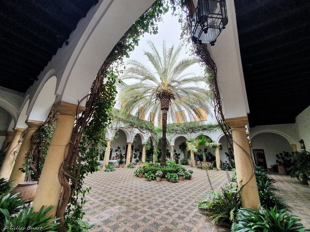 Patio, Palais de Viana