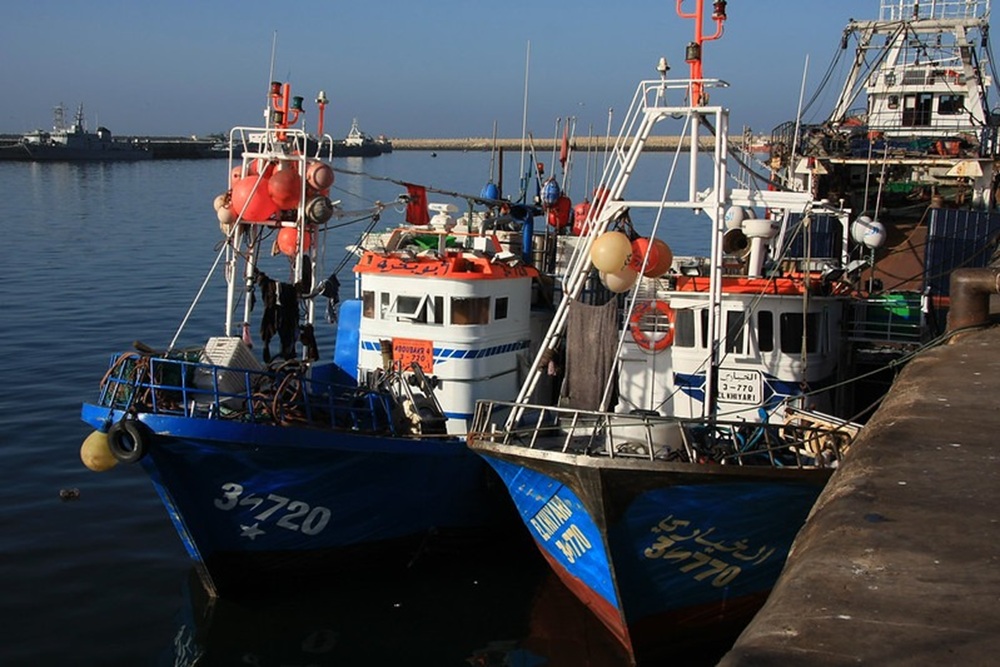 Port de pêche d'Agadir