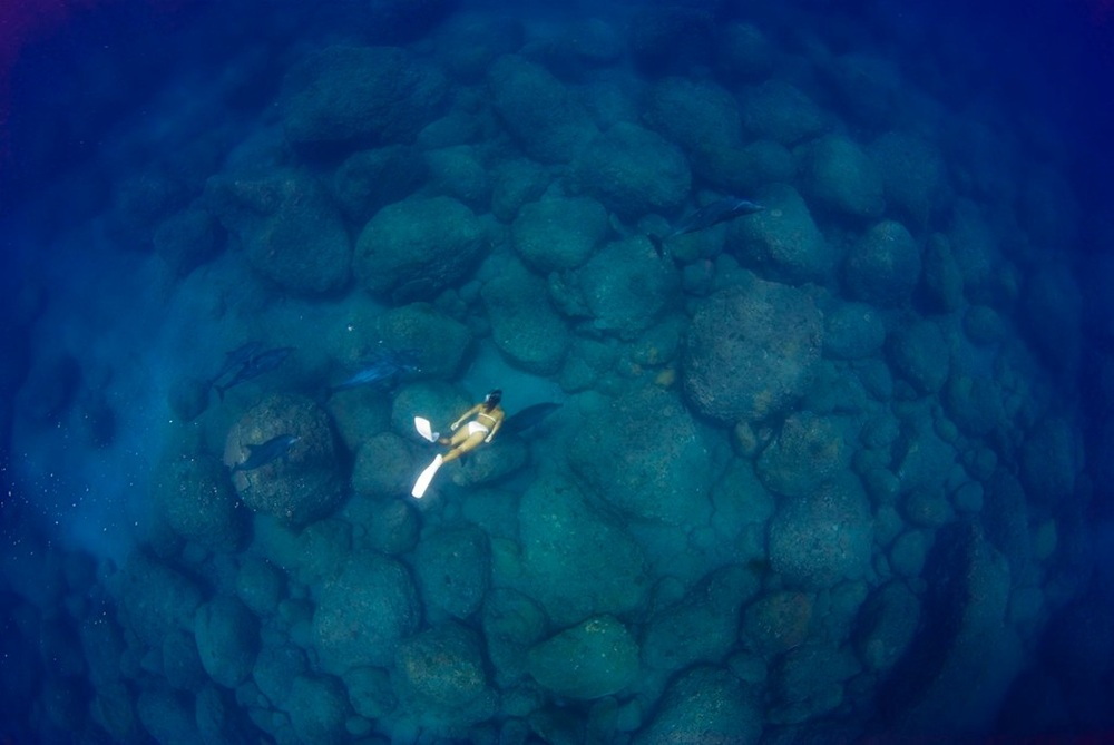 Snorkeling dans les eaux d’Ogasawara