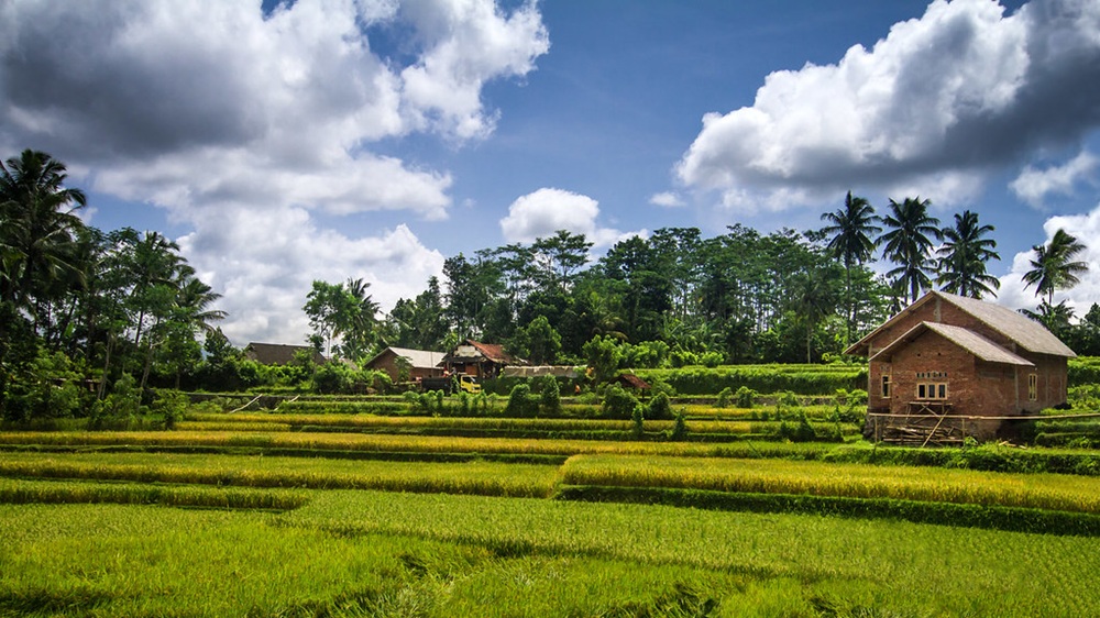 Tetebatu, Lombok