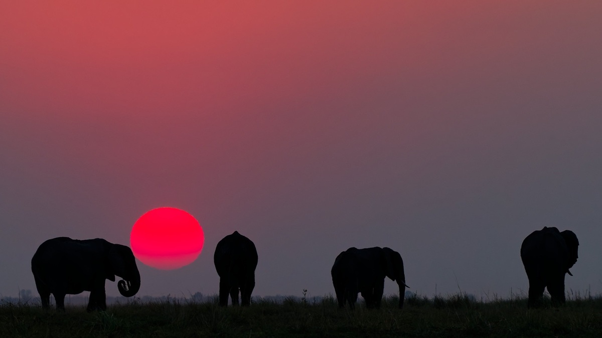 Découvrez les 9 activités incontournables à faire et voir dans la bande de Caprivi en Namibie Découvrez les 9 activités incontournables à faire et voir dans la bande de Caprivi en Namibie